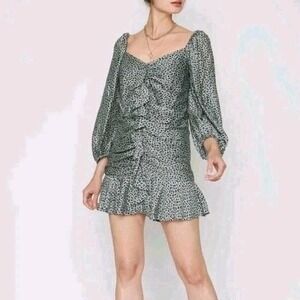ANTHROPOLOGIE $280 Caballero Leopard Elena Shirred Ruffle Mini Dress Size Small